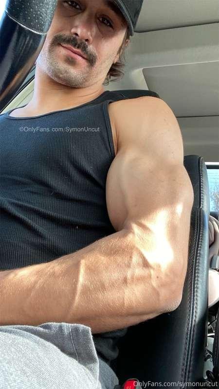 Veins