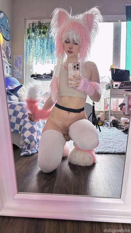 indigowhite image #243