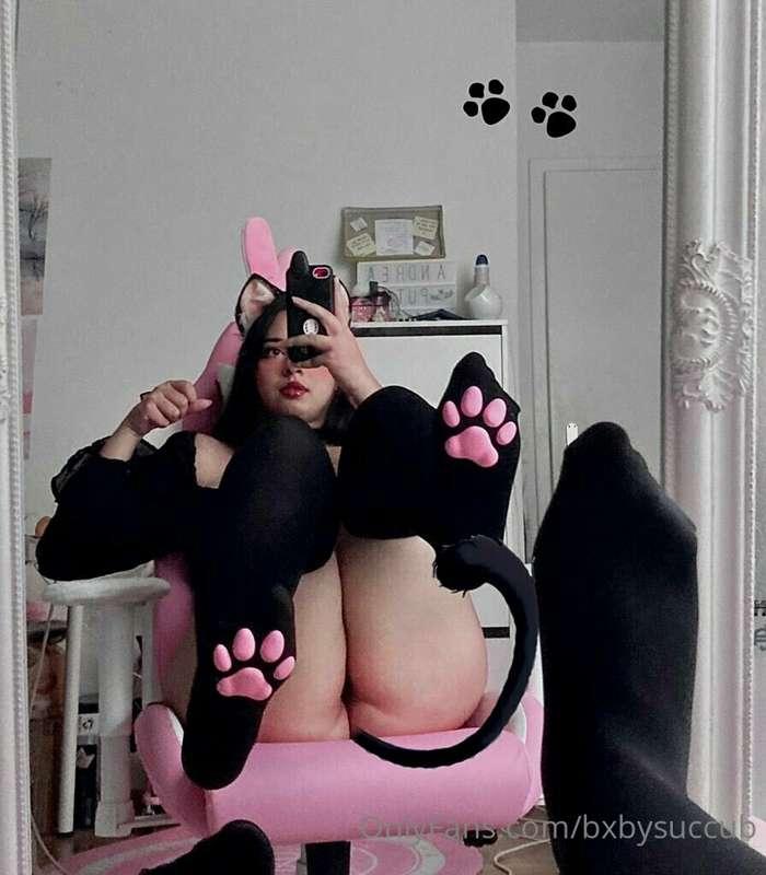 This kitty needs a Master! Want headpats please please pleas..