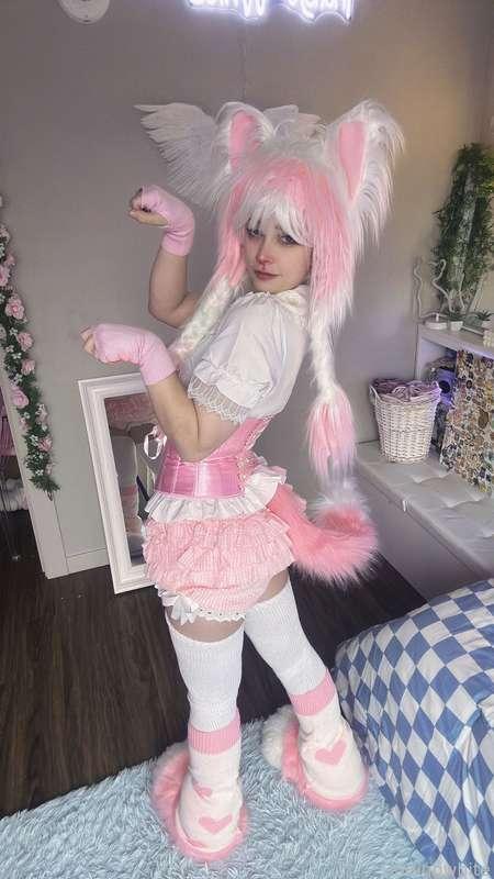 indigowhite image #26