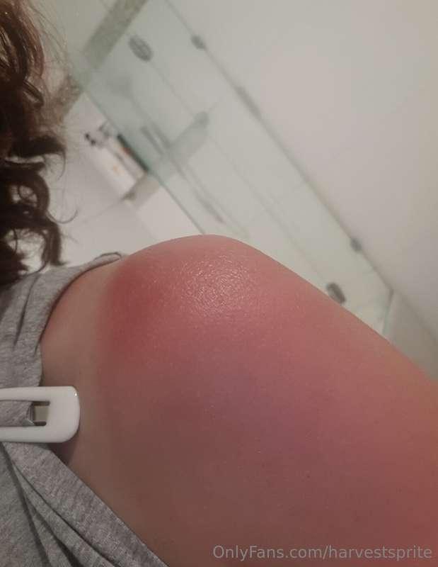 harvestsprite image #1