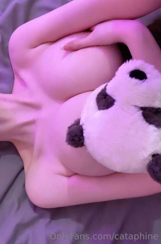 Wanna cuddle? 🐼