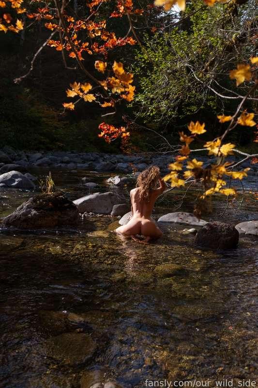 our_wild_side image #11