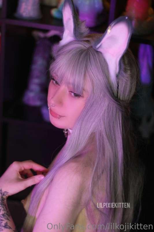 Check out my main account @little_pixie_kitten ♡