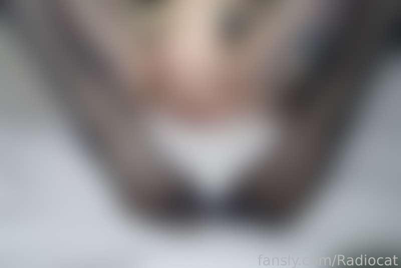 radiocat image #18
