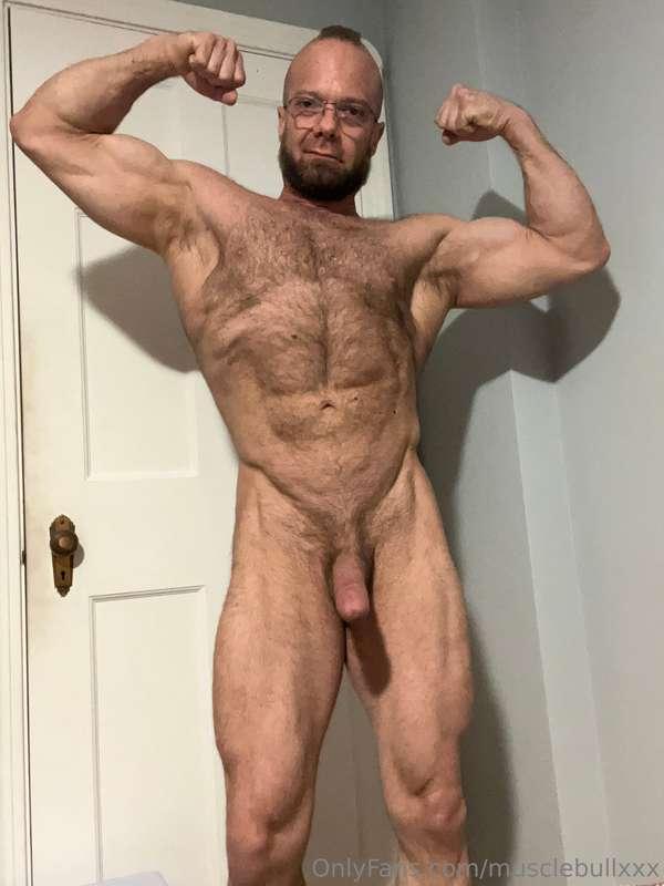 musclebullxxx image #1