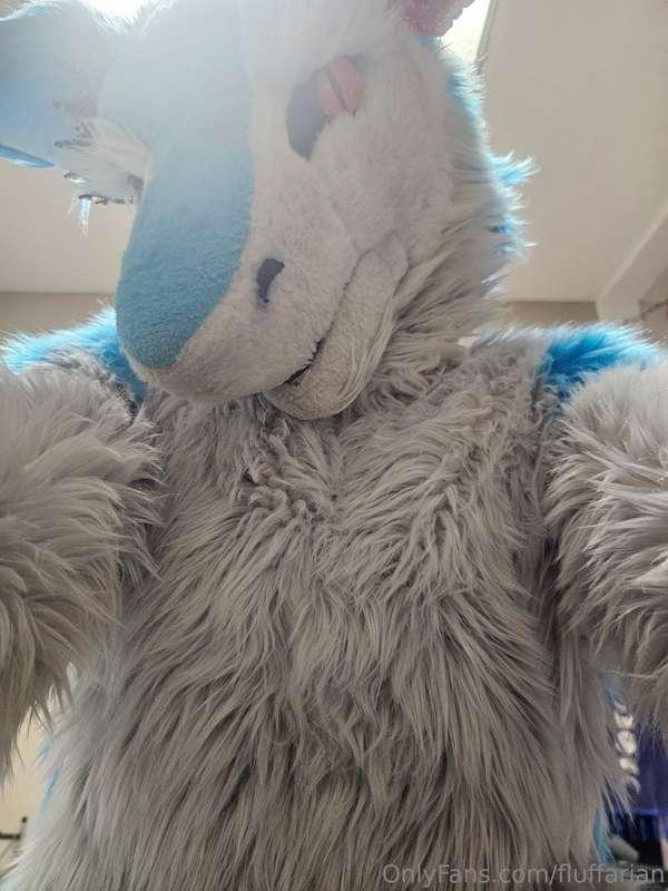 Horny Times~