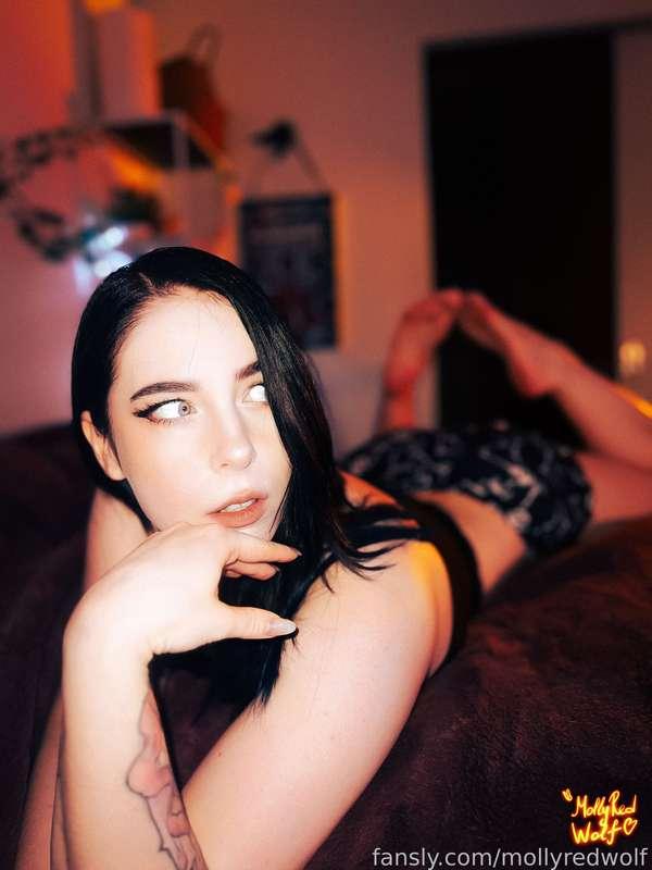 mollyredwolf image #1