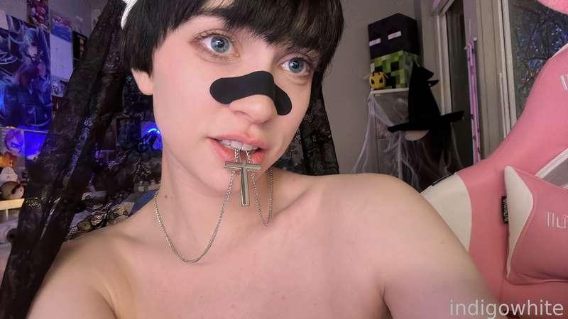 indigowhite image #316