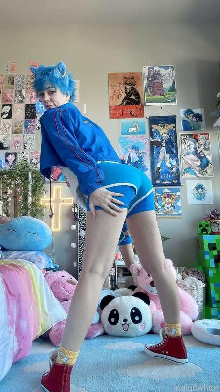 indigowhite image #290