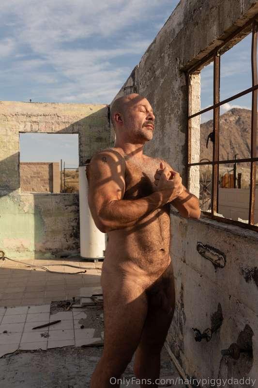 hairypiggydaddy image #1