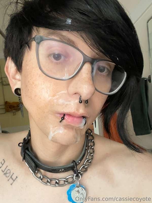 cassiecoyote image #1