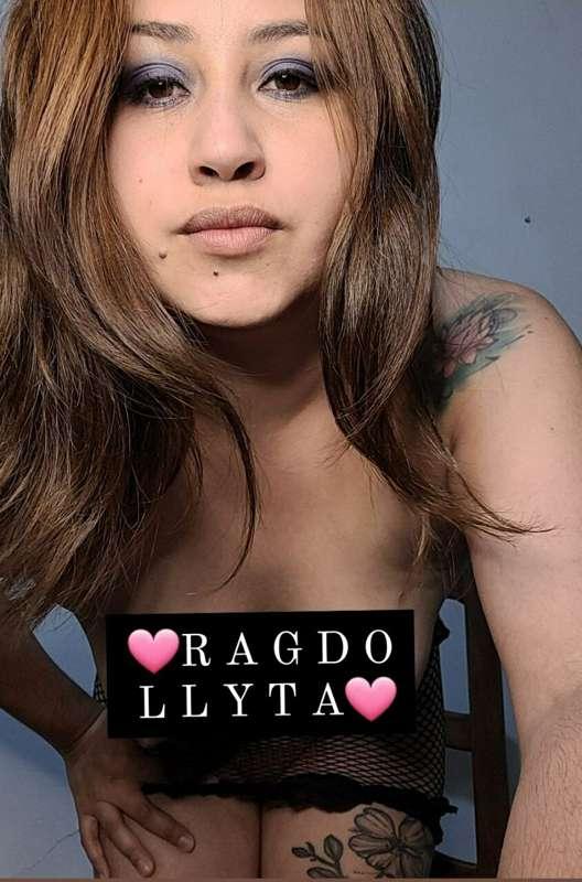 🌼🍂 @ragdollyta🍂🌼
#AD
