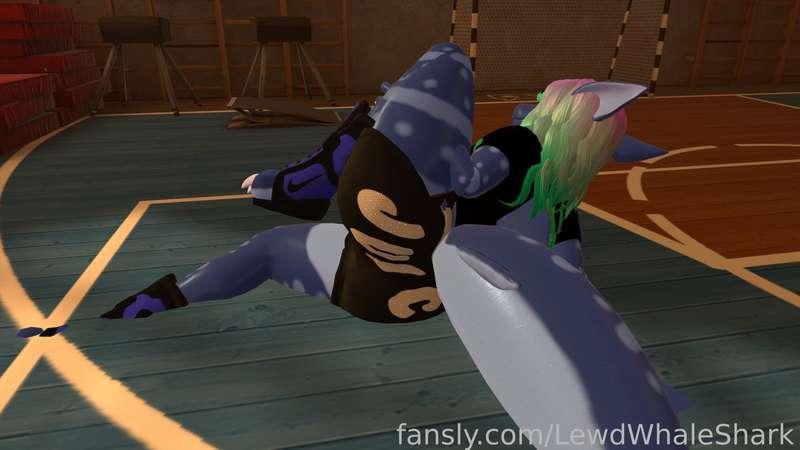lewdwhaleshark image #3