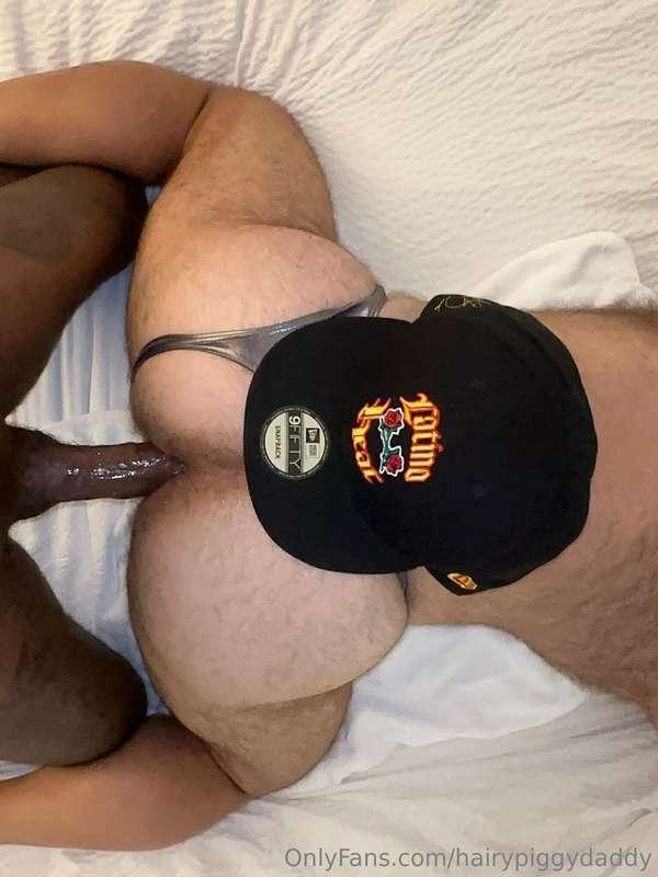 hairypiggydaddy image #19