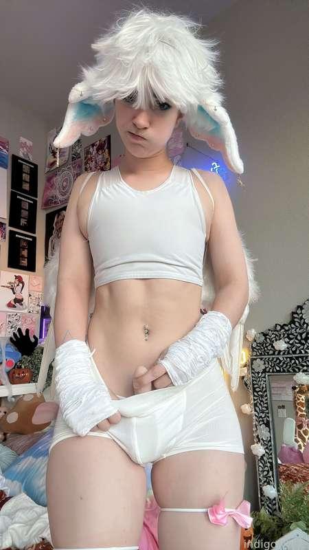 indigowhite image #94