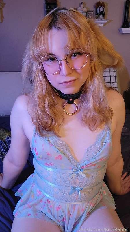 rozirabbit image #0