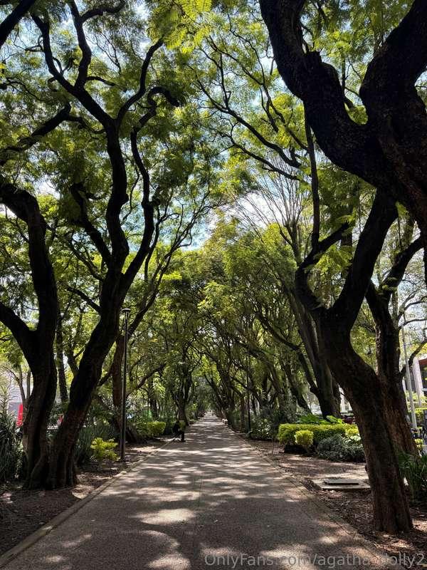 agatha_dolly2 image #17