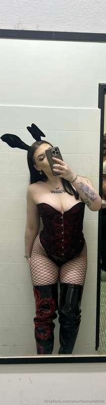 Your favourite bunny