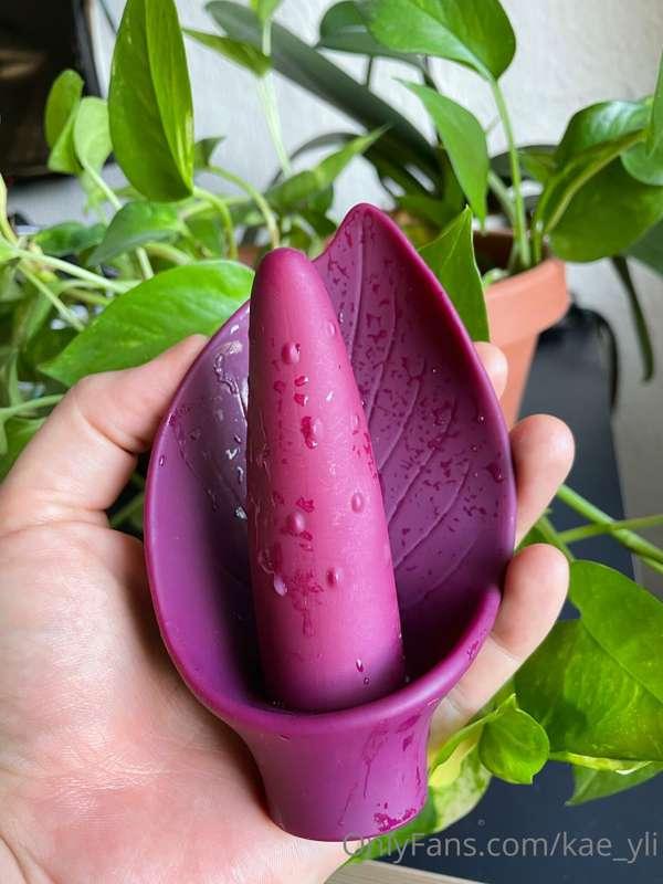 most unusual sex toy you ever tried?