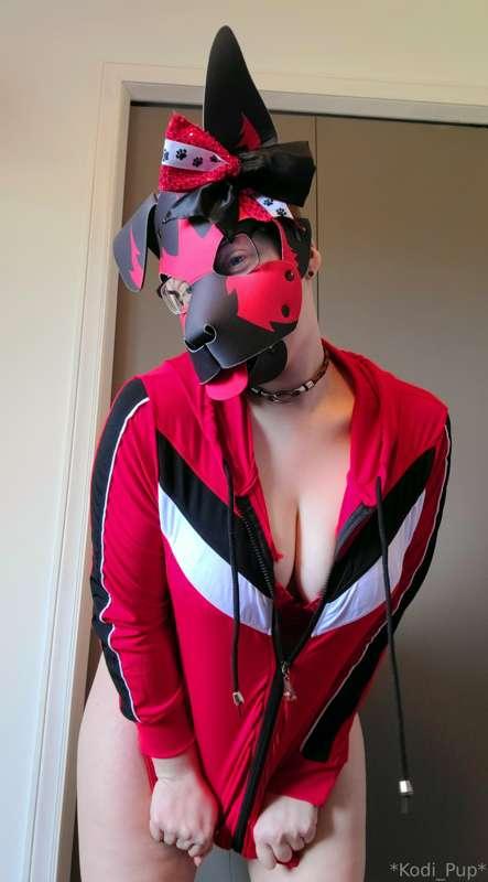 kodi_pup image #0