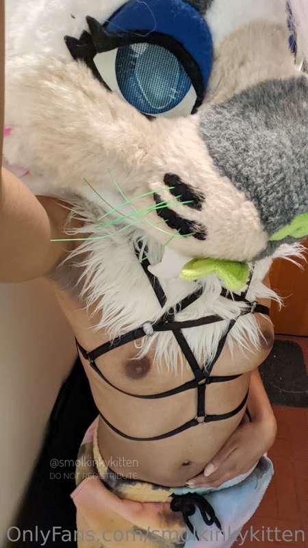 smolkinkykitten image #1