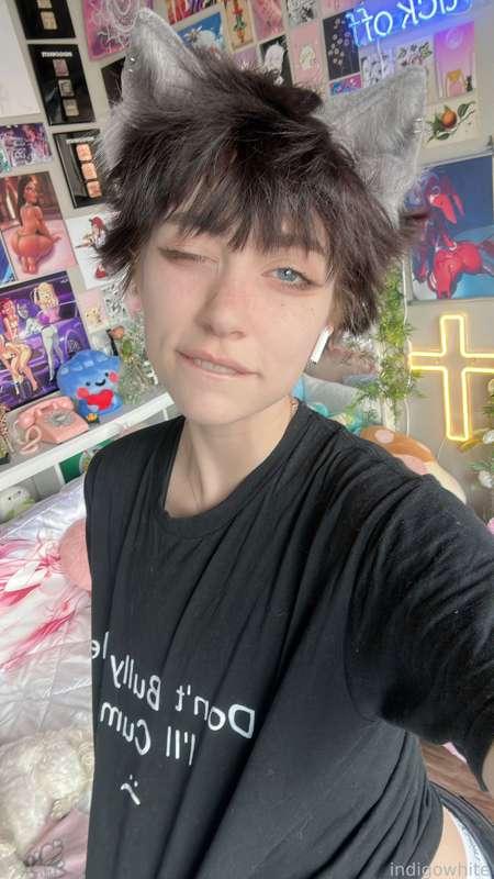 indigowhite image #27
