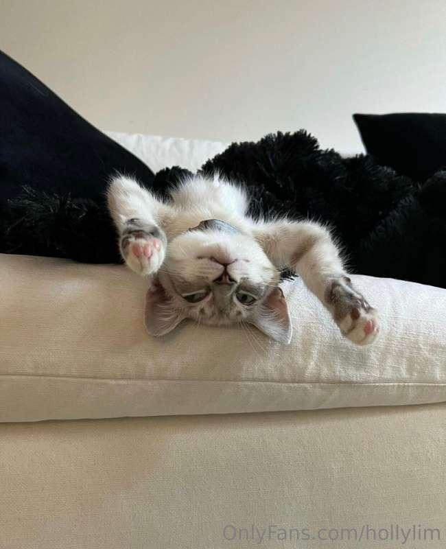 me after this week 🧘🏻‍♀️
