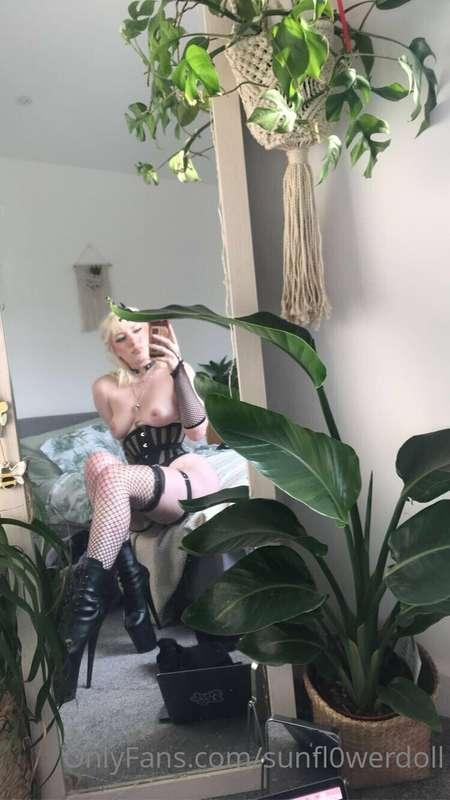 sunfl0werdoll image #8