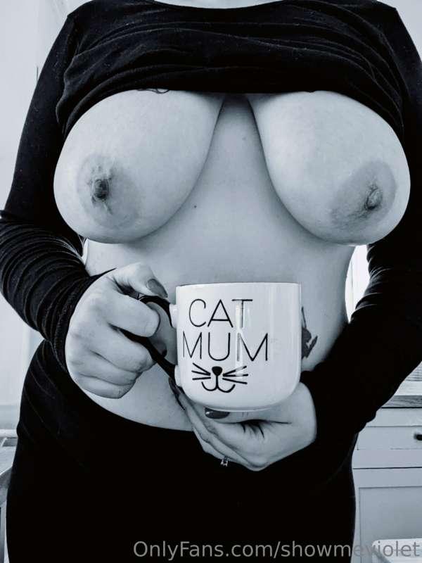 New mug day... 😺