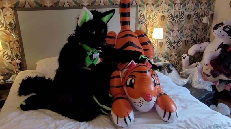 Nieo deflates a cute tiger.