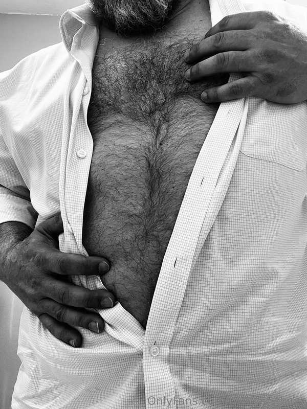 m1dwestbear image #0