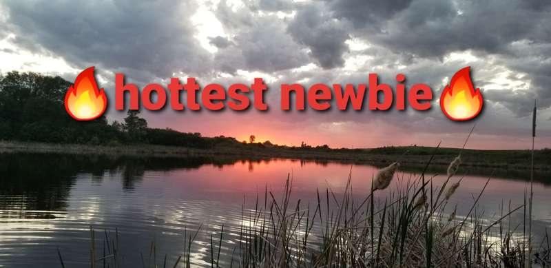 🎀attention newbies🎀 
🏆Contest for creators under 500 fans📈
*..