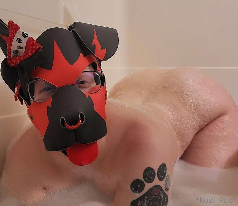 kodi_pup image #0