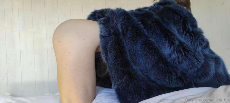 olivia_fur image #4