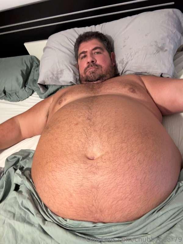 chubbybear79 image #0