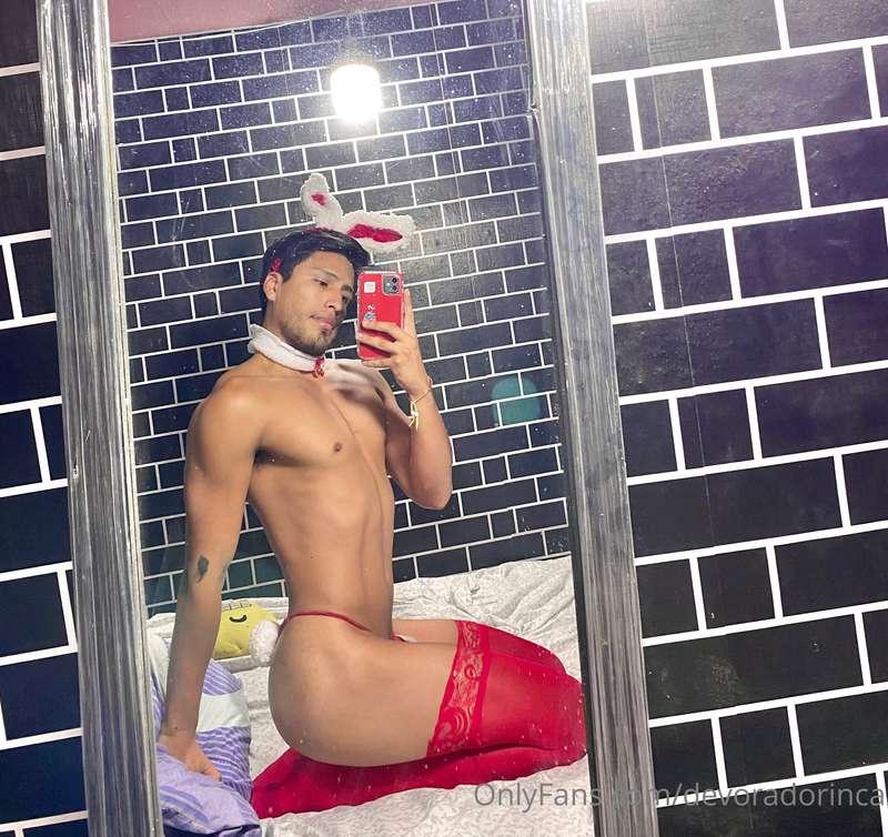🐰 @devoradorinca