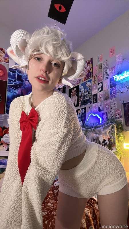 indigowhite image #142