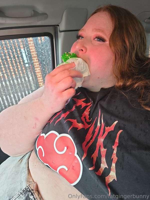 fatgingerbunny image #6