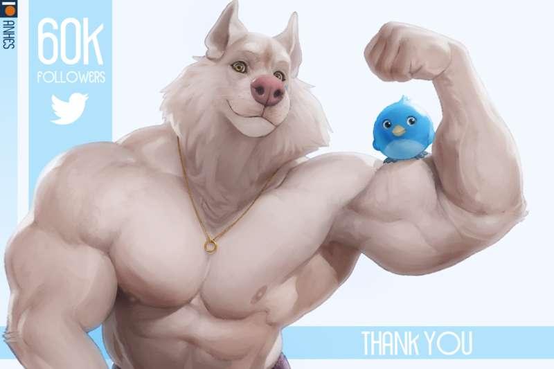 80k X followers - big+sketch+prev version