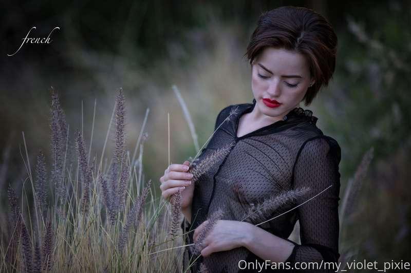 my_violet_pixie image #15