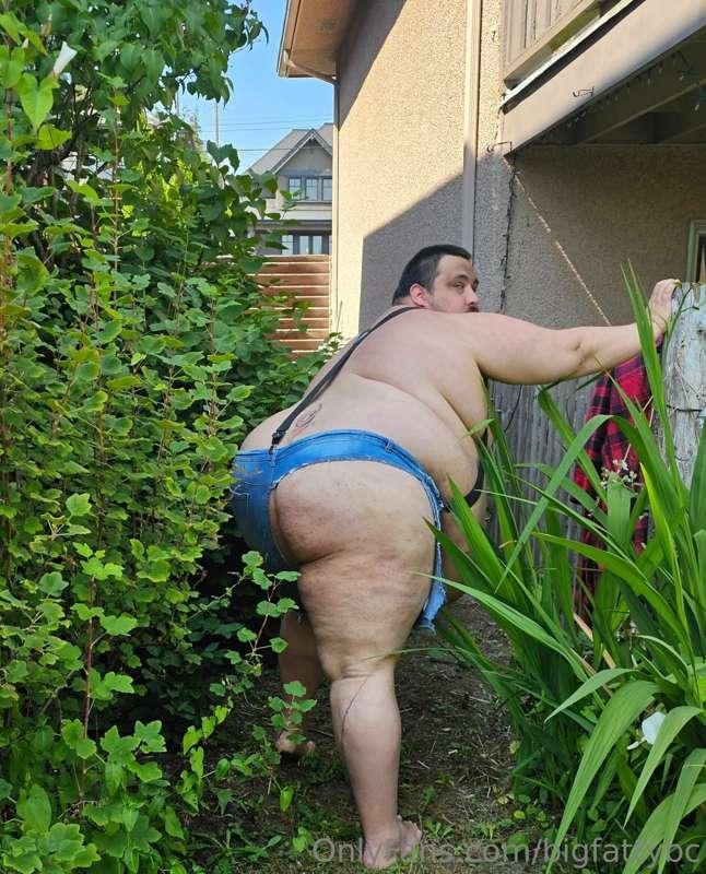 bigfattybc image #1