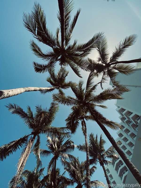 Happy Morning!!! 🌞