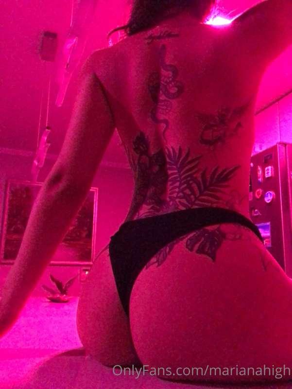 🔮🔮🔮