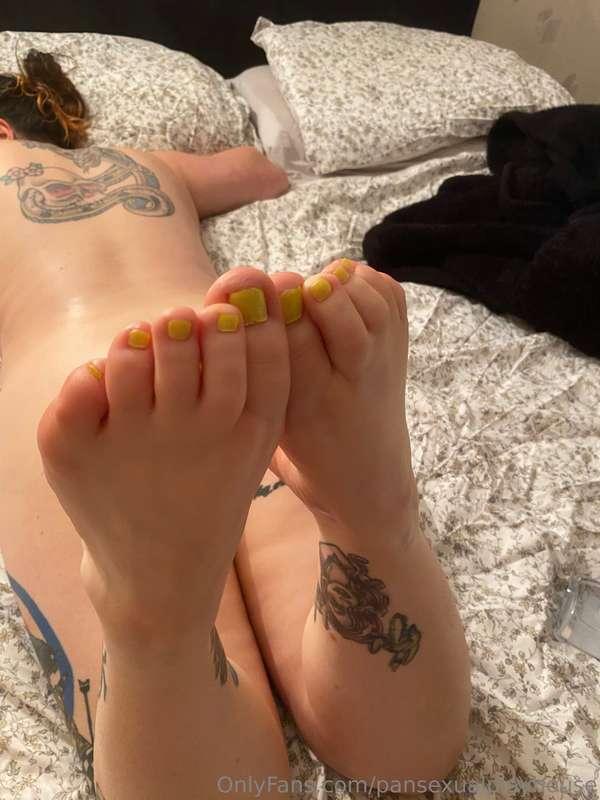 pansexualplayhouse image #0