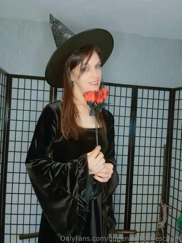 queenhighpixiescarlet image #0