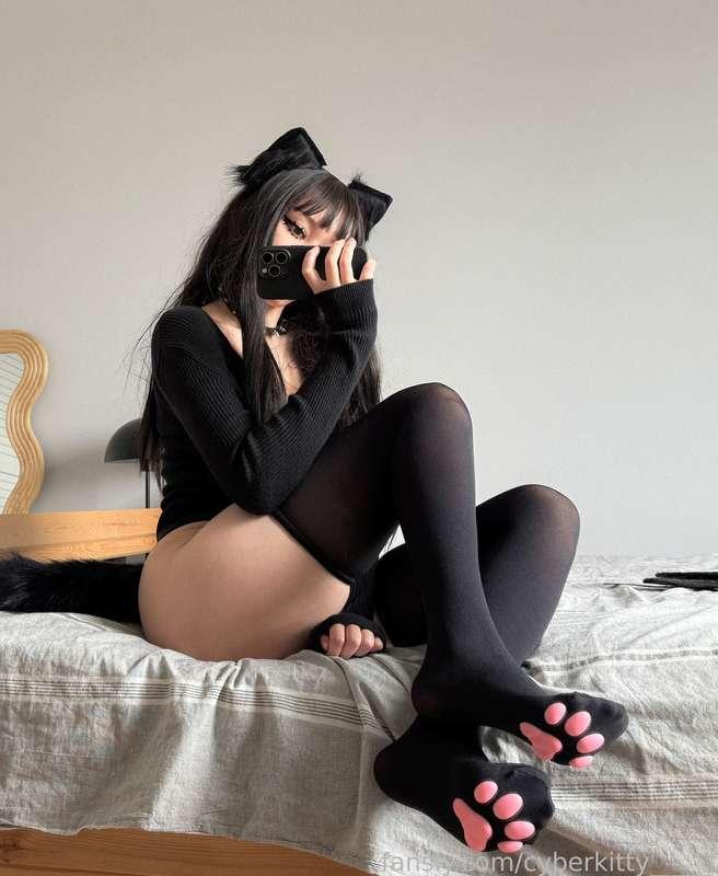 cyberkitty_____ image #1