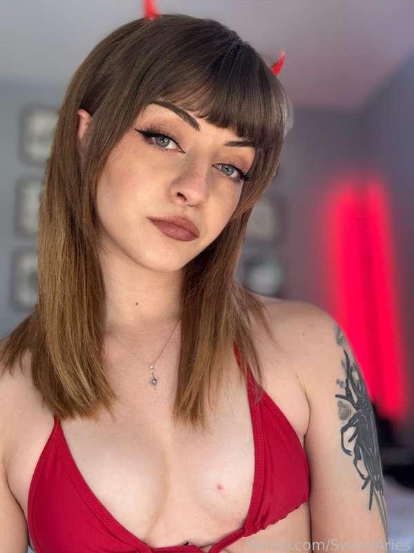 sweetaries image #4