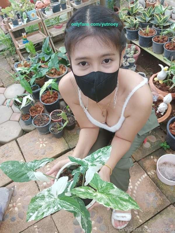 ต้นไม้..ที่บ้าน สวยมั้ยคะ