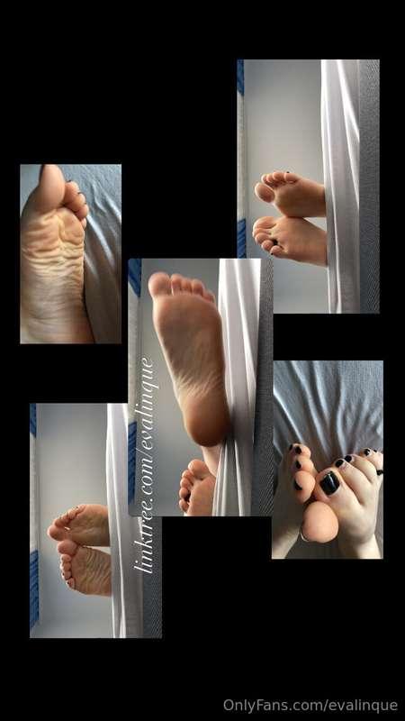 My dog, do you want to be under my feet?🦮🦶🏻 I will trample y..